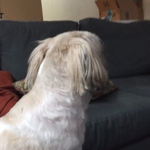 Meet your Posher, Ian